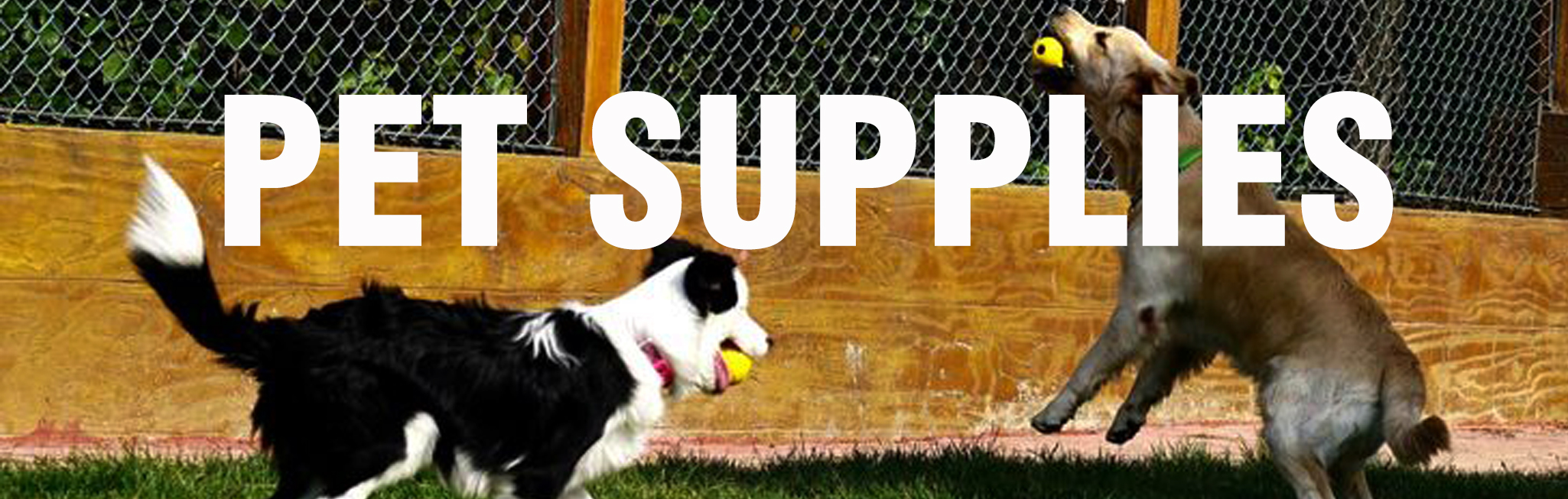 广告二-Pet Supplies